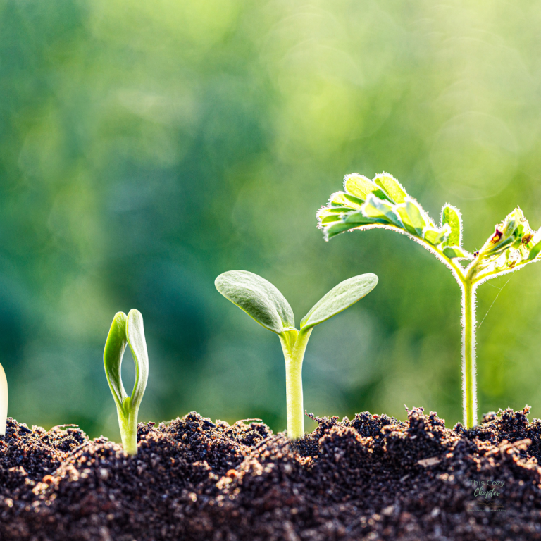 Outgrowing Old Versions of Yourself (And Why That’s a Good Thing)